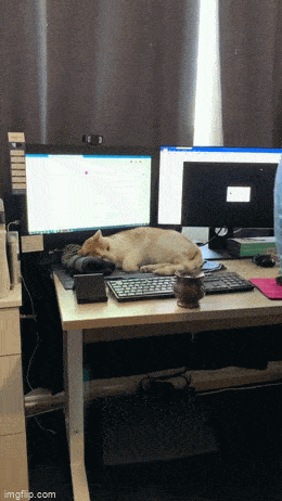 Сладких снов