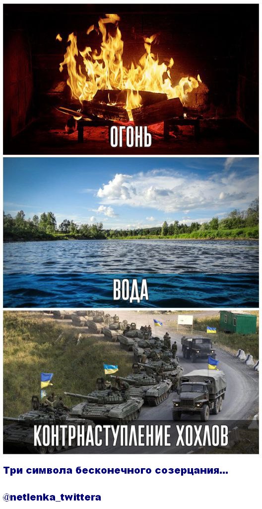 О политике и не только