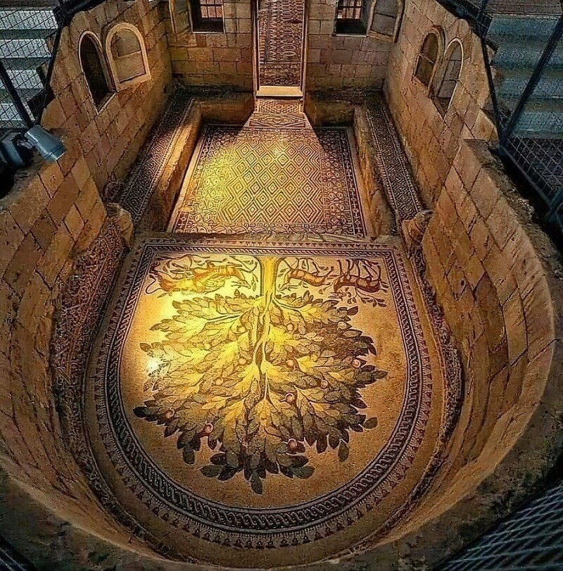 2. После реставрационных работ во дворце Хишам в Иерихоне была обнаружена одна из самых масштабных напольных мозаик древнего мира