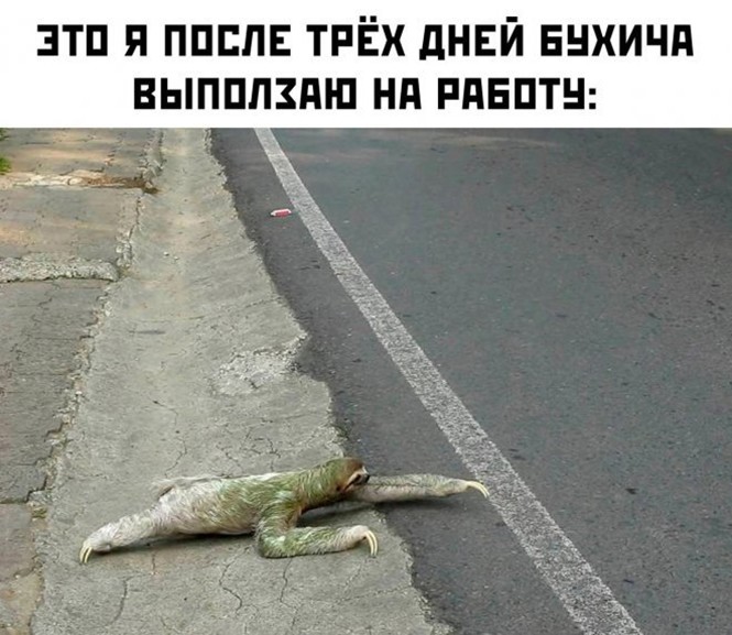 Алкопост на&nbsp;вечер этой пятницы