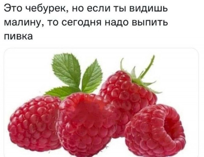 Алкопост на&nbsp;вечер этой пятницы