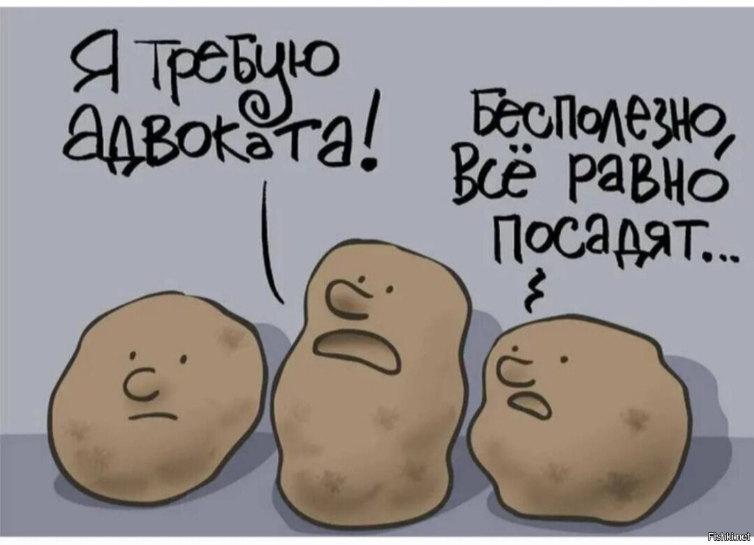 Анекдот про картошку