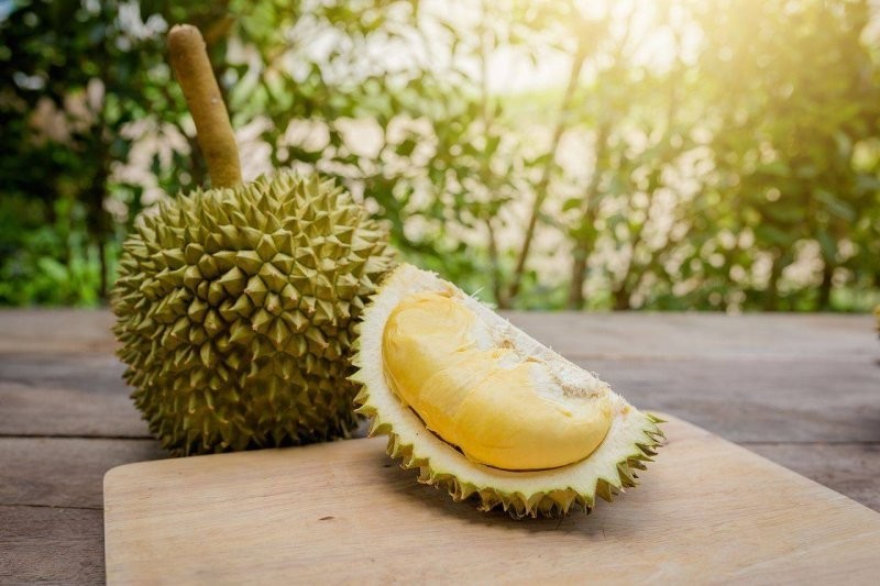 6. Дуриан - один из самых странных фруктов в Азии. Некоторые люди говорят, что плод пахнет как грязные носки