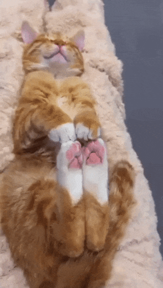 С&nbsp;добрым утром