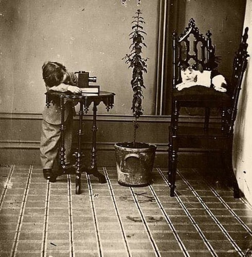 11. Подающая надежды фотограф, 1880-е