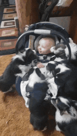 С&nbsp;добрым утром