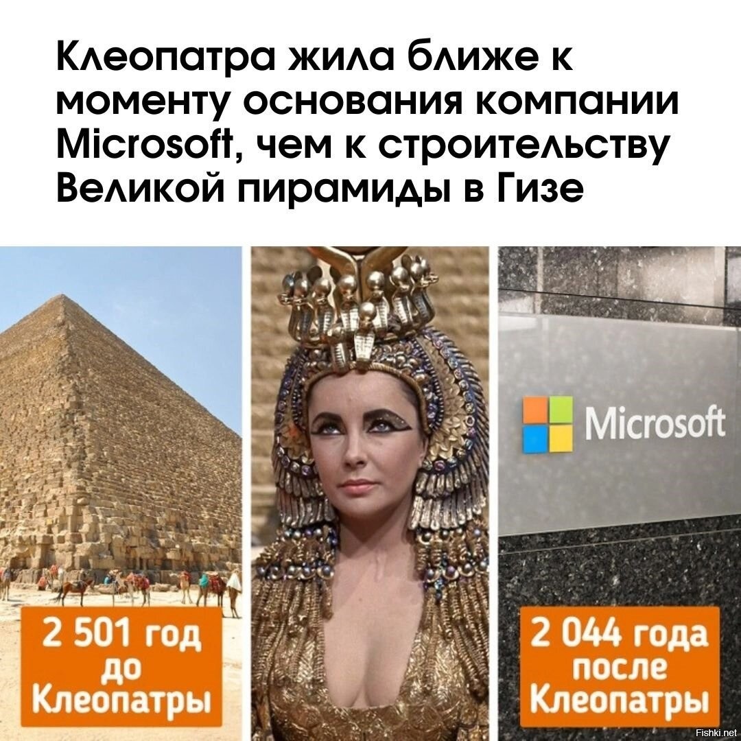 Жили бы поближе. Клеопатра и постройка пирамиды. Клеопатра о ней. Клеопатра II. Стрелки Клеопатры 2023.