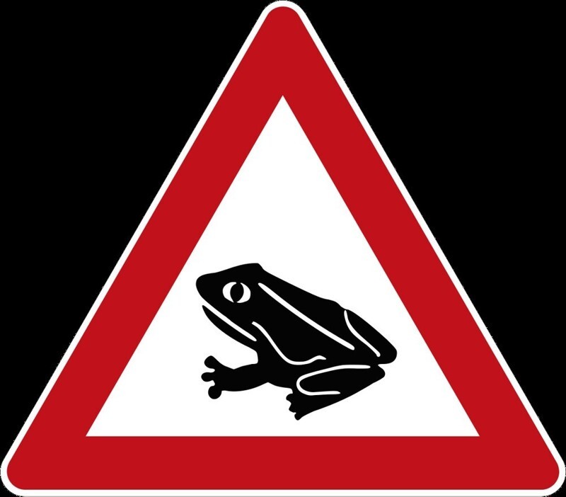 14. Дорожный знак, означающий места миграции земноводных. Германия