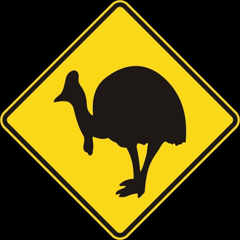 3. Также квинслендский знак, означающий высокую вероятность повстречать казуаров на проезжей части