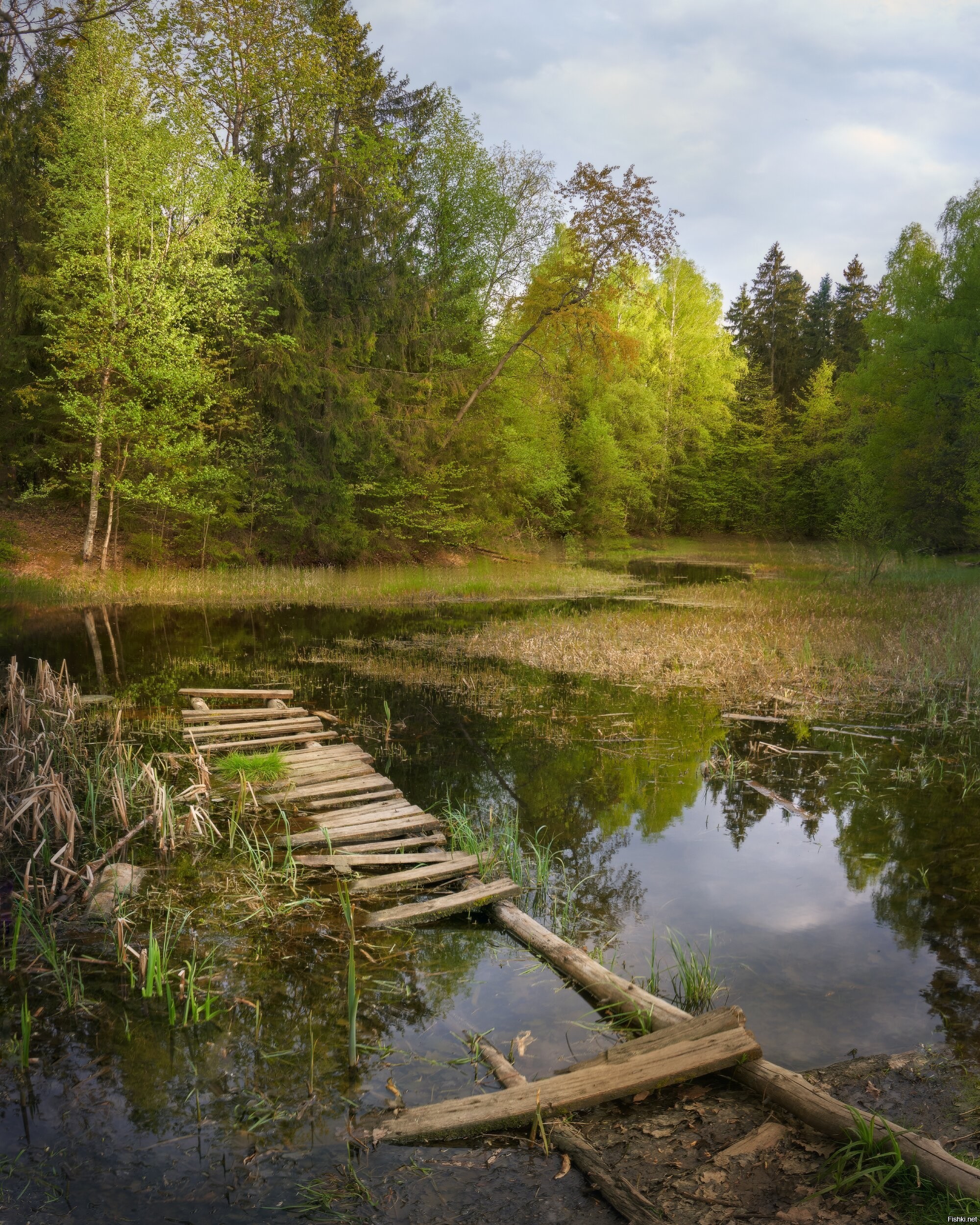 Весна В Подмосковье Фото