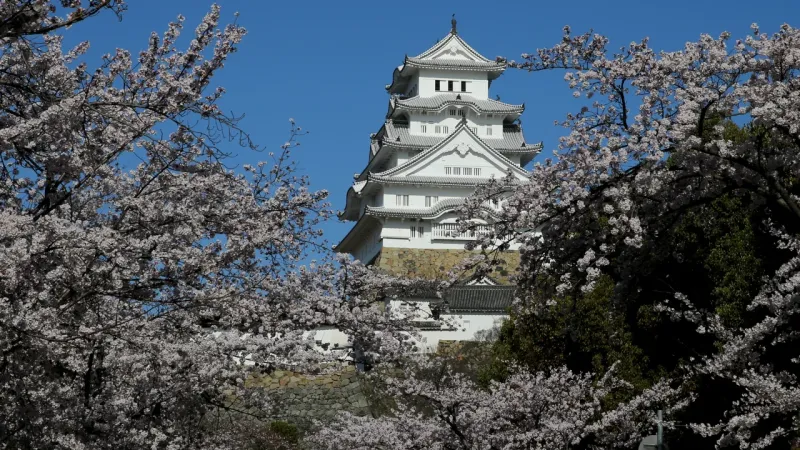 1. Замок Химэдзи, Япония