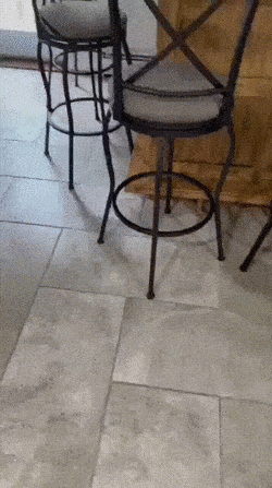 Садись, прокачу