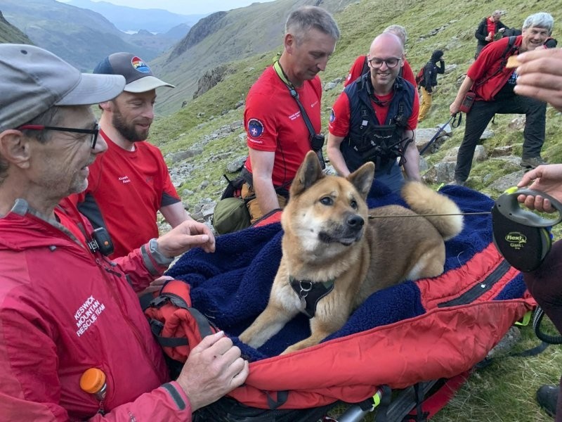 Спасатели 4 часа спускали с горы раненого акита-ину