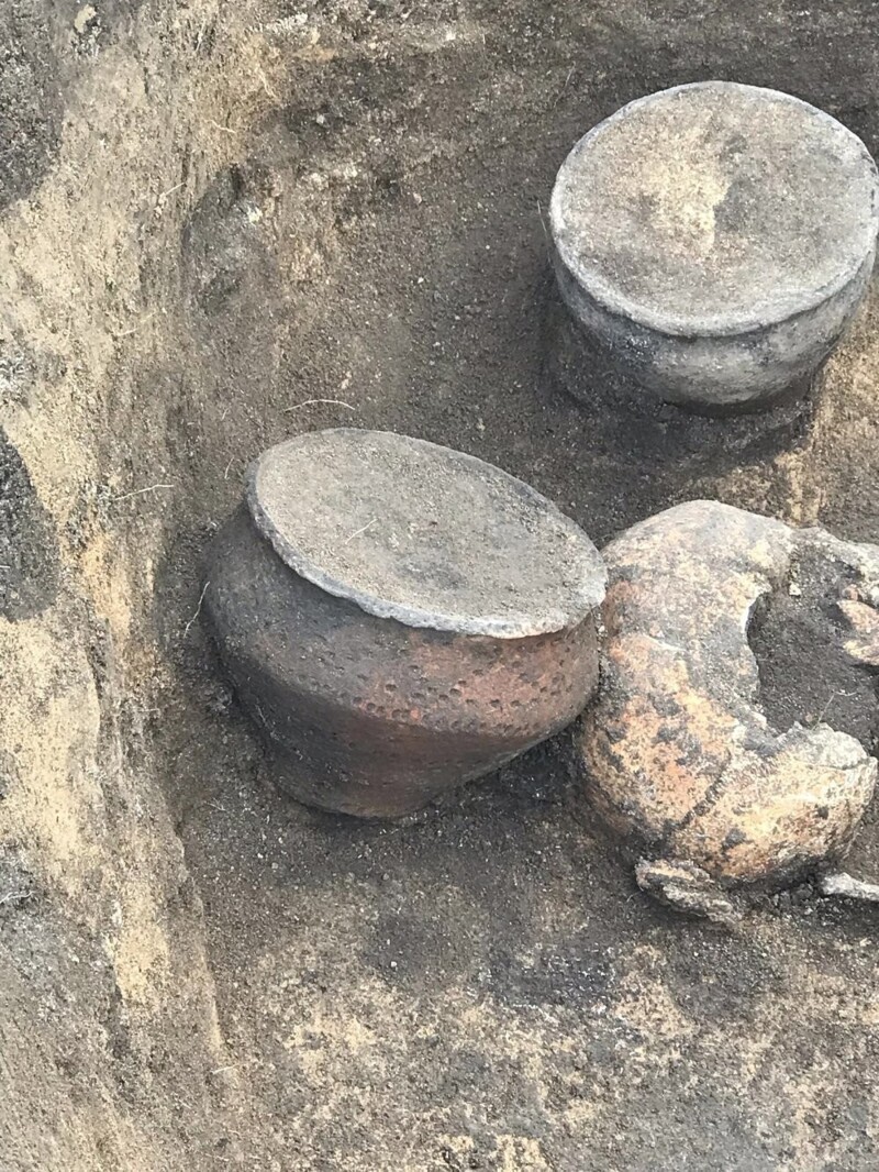 Захоронения бронзового века с артефактами обнаружили на стройке в Белгороде