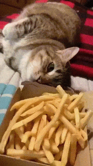 С&nbsp;добрым утром