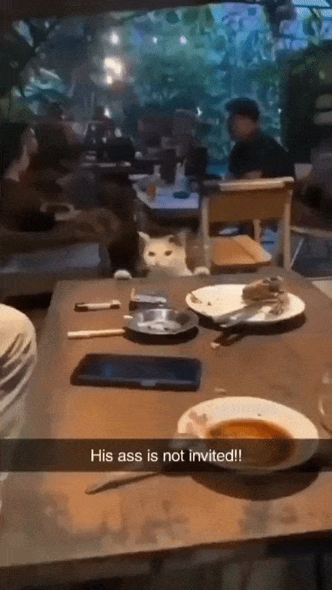 Нежданный гость