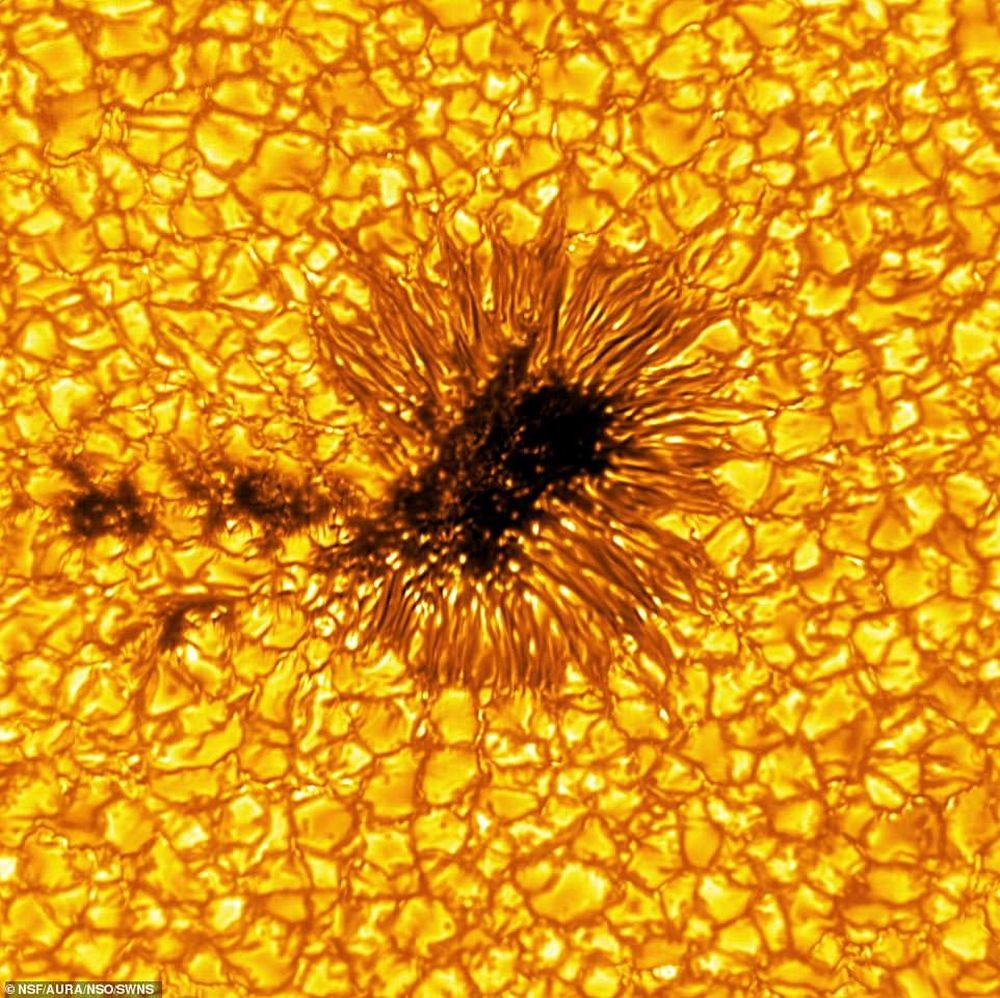 Опубликованы новые фотографии Солнца с невероятной детализацией