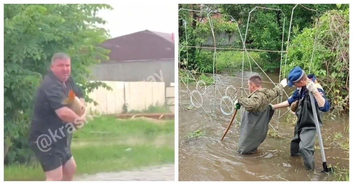 Поймал голыми руками. Затопления в Краснодарском крае. Наводнение в Краснодарском крае сейчас. Мужик с рыбой в руках. Курганинск наводнение.