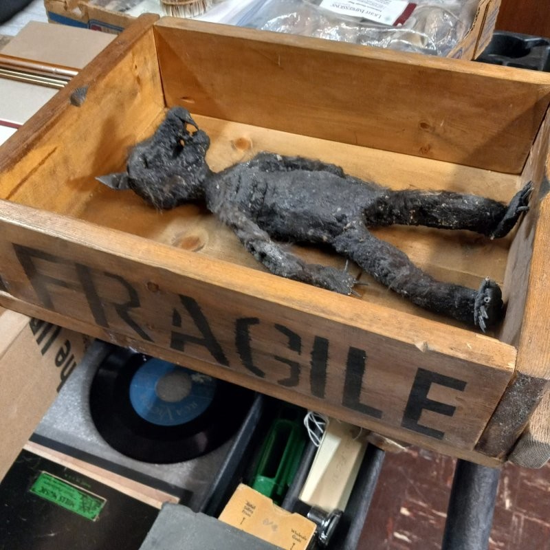 Сотрудники музея получили посылку со странной "мумией"