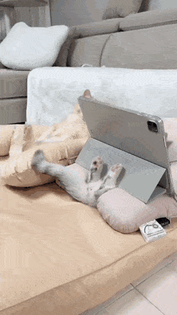 С&nbsp;добрым утром