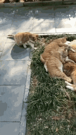 С&nbsp;добрым утром