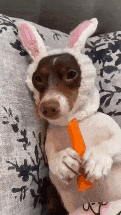 С добрым утром С добрым утром