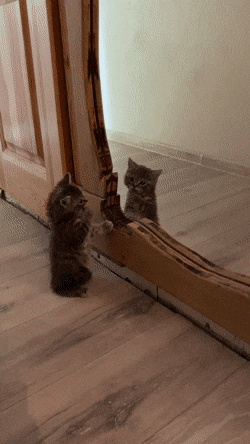 С добрым утром С добрым утром