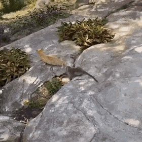 С добрым утром С добрым утром