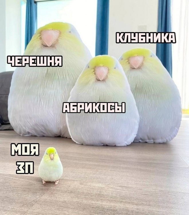 Не ищите здесь смысл. Здесь в основном маразм