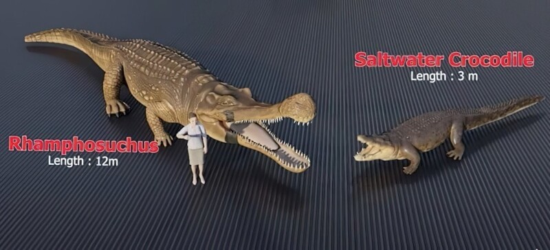 Морской крокодил (длина 3 м) и рамфозух (длина 12 м)