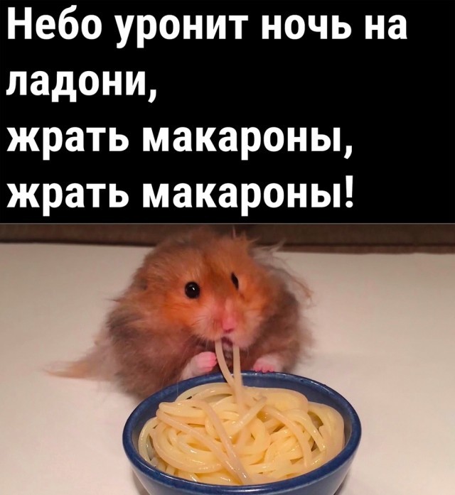 Фотоприколы и&nbsp;прикольные картинки