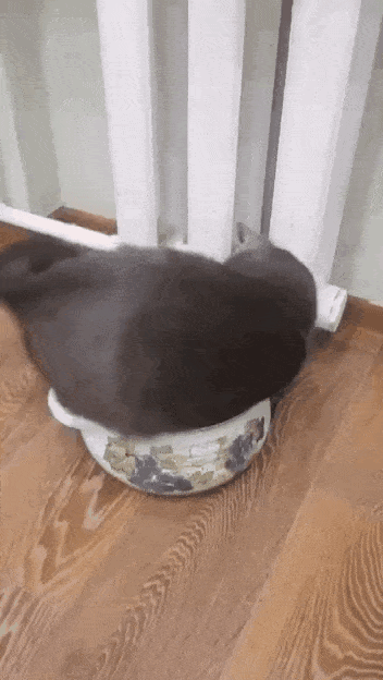 Невозможное возможно?