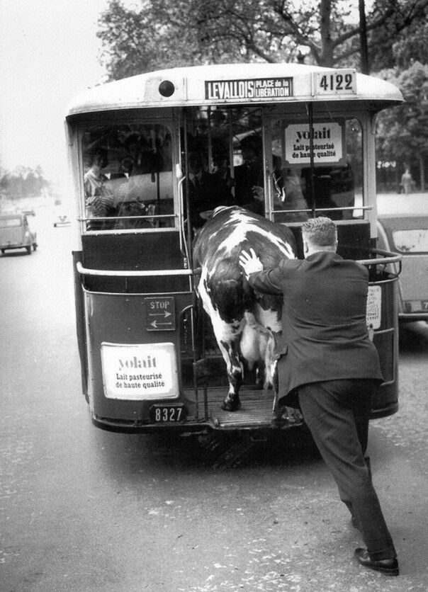 Париж, 1950 год