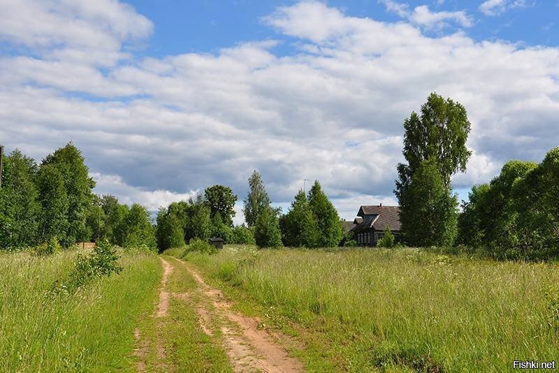 Киверичи рамешковский район фотографии