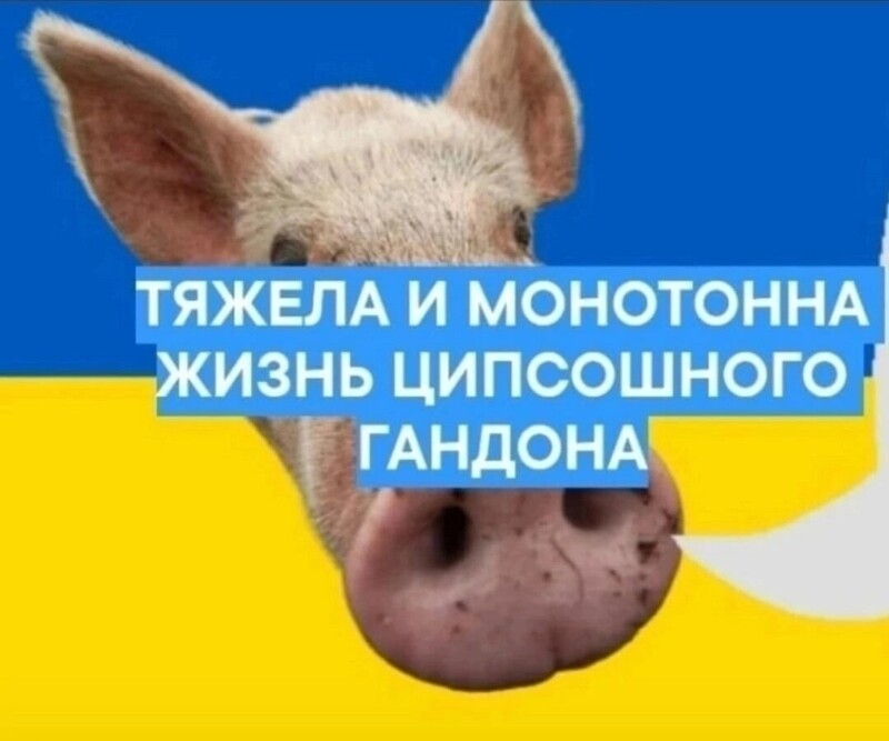 Лишь о политике 543210