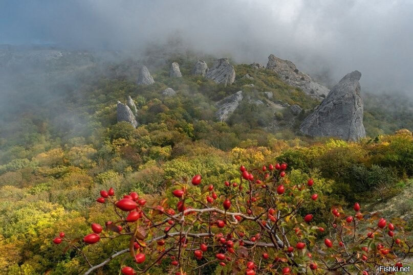 Фото первого храма солнца в Калуге