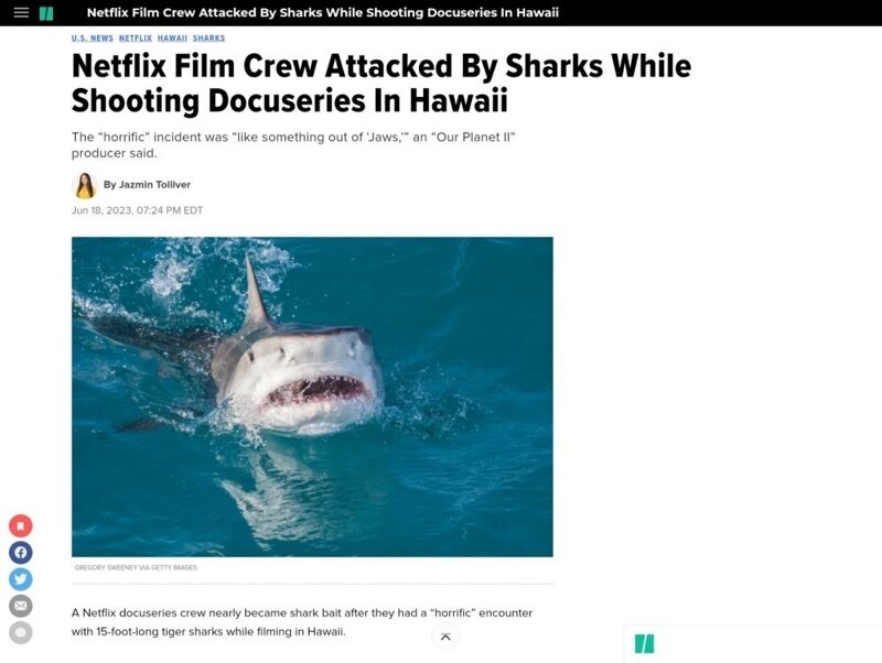 На Гавайях на съемочную группу Netflix напали 5-метровые акулы