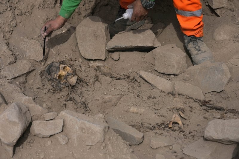 Найдена 3000-летняя мумия в листьях коки