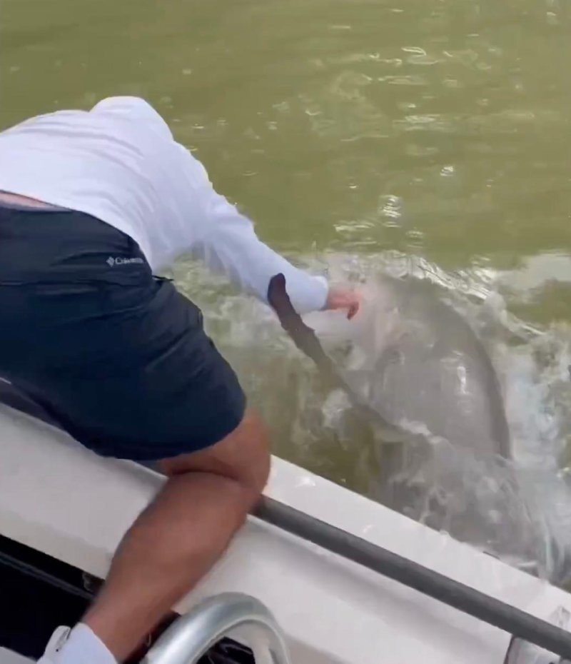 Рыбак решил помыть руки в воде — а его схватила акула