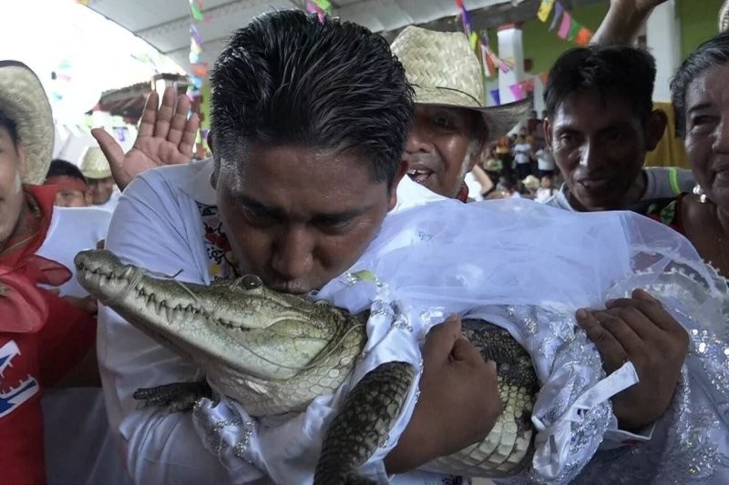 Мэр мексиканского города женился на крокодиле
