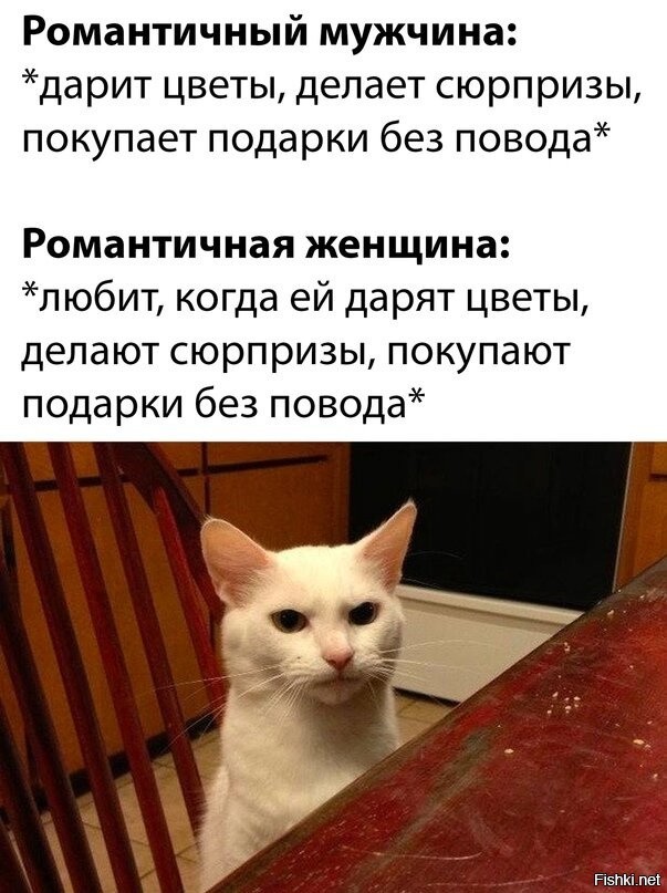 Смешные планы на сегодня