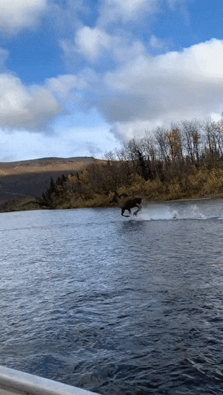 Река по колено