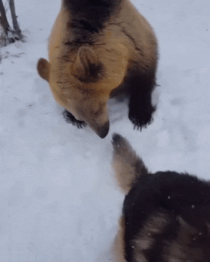 Просто гифки, всякие и&nbsp;разные