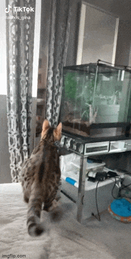 Вот и поохотился