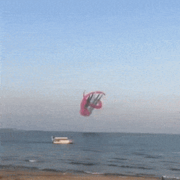 Высший пилотаж