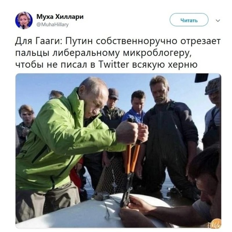 О политике и не только