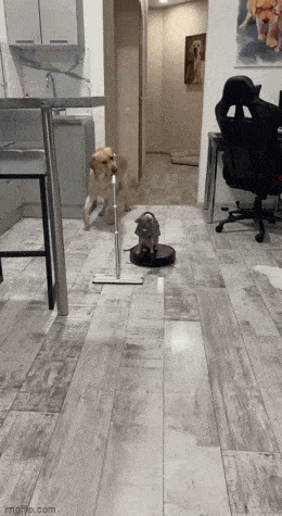 Домашние помощники