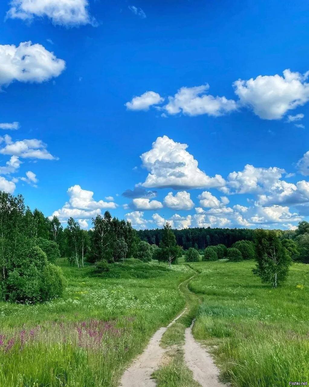 Лебяжий рай фото анжеро судженск