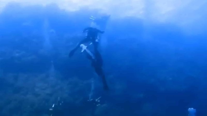 В Красном море возле египетских островов Бразерс на дайвера напала рифовая акула