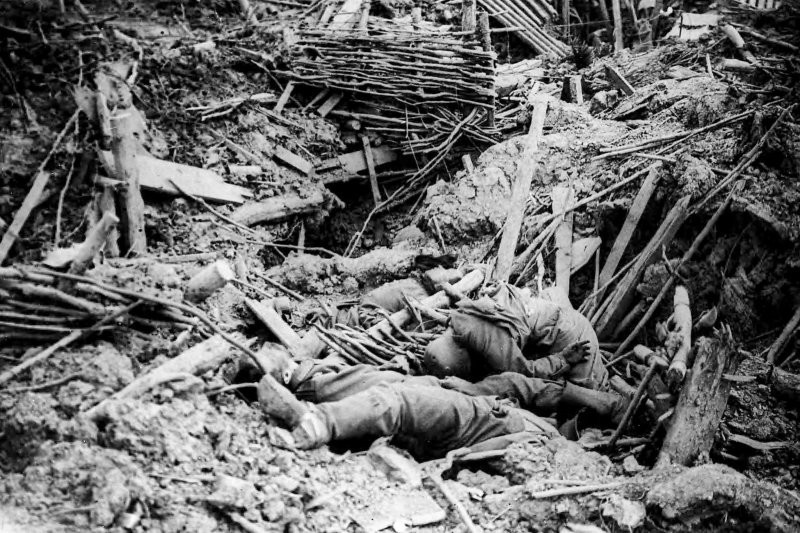 Малоизвестные факты о Первой мировой войне